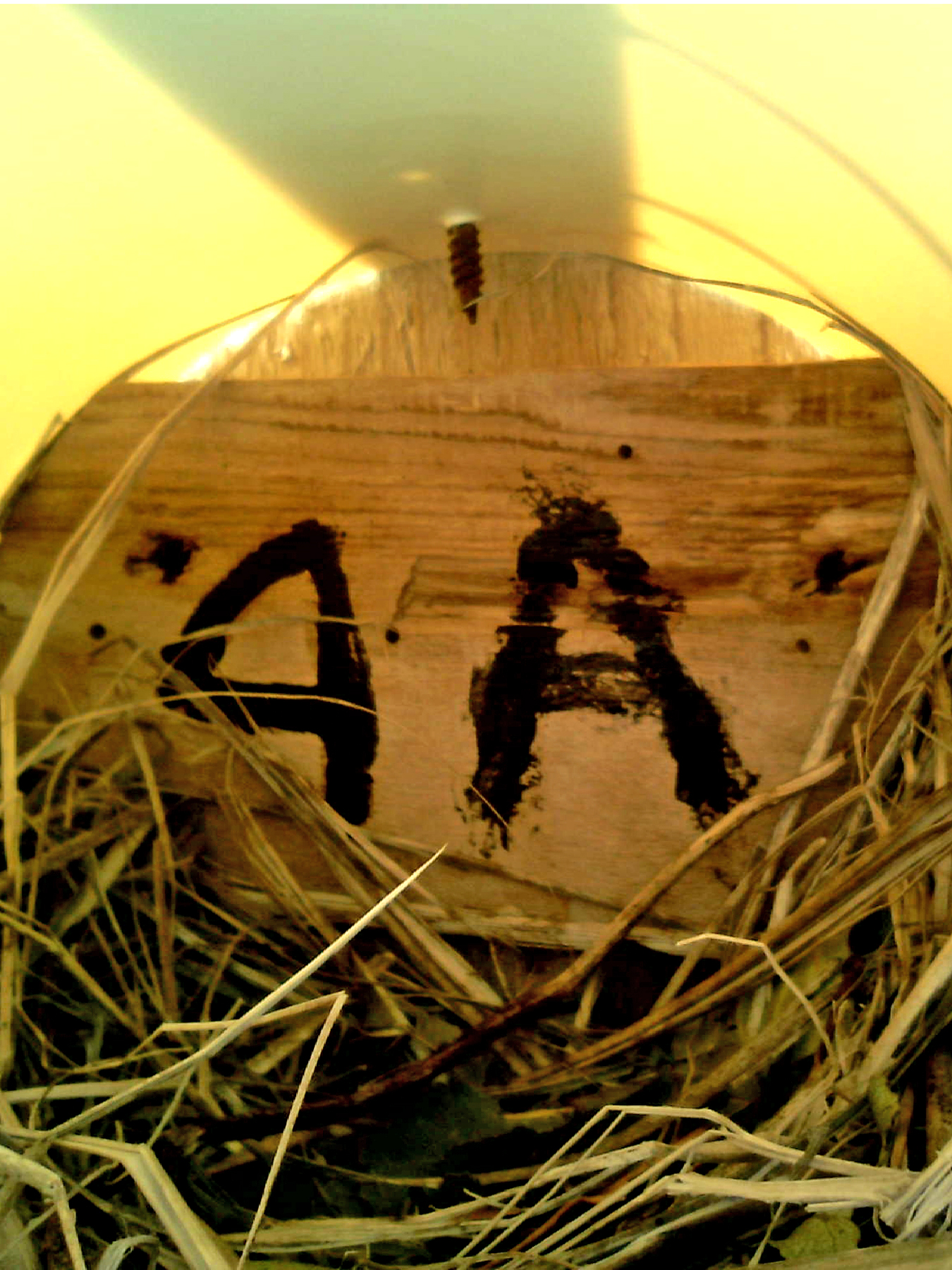 OPAS 4A